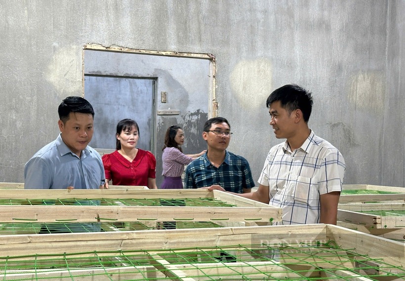 Anh Hoàn giới thiệu về nhà băng ươm tằm với các lá tằm tại cơ sở của mình. Ảnh: Dân Việt