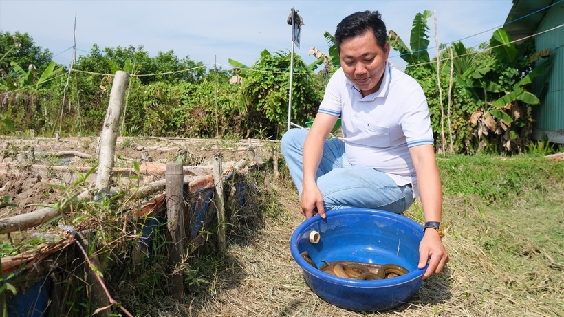 Anh Tân mong muốn ngành lươn sẽ phát triển tại miền Tây. Ảnh: Lao động