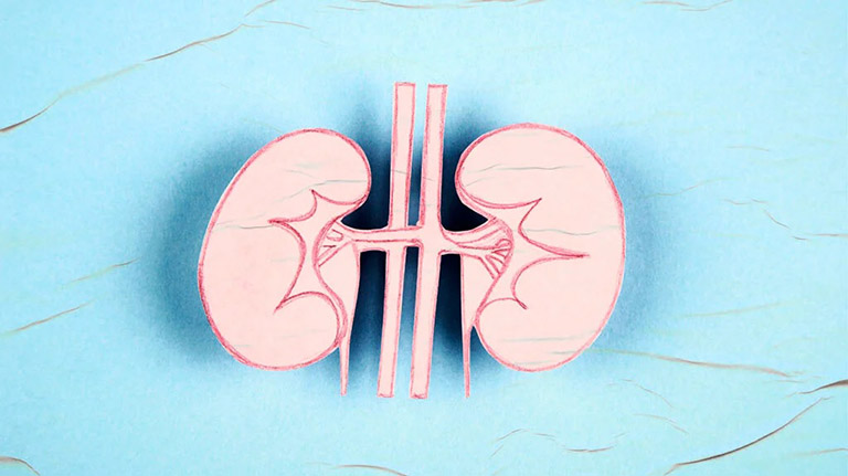 Có nhiều nguyên nhân gây thận yếu