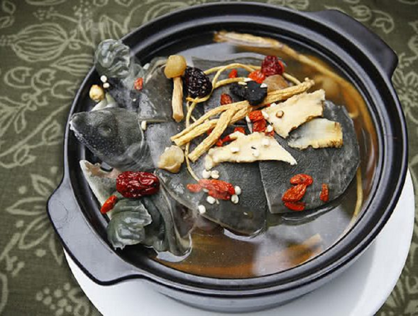 Người bị thận yếu nên ăn canh ba ba hầm đỗ trọng