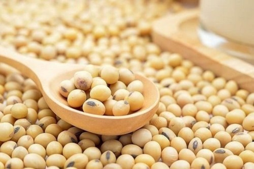 Loại hạt được ví "tốt hơn thịt" giúp giảm mỡ máu, ngừa đột quỵ - 2