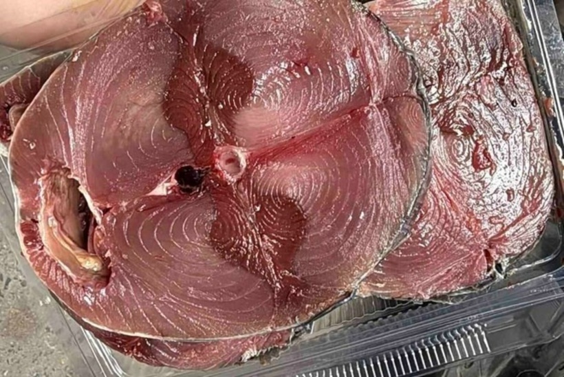 Cá ngừ là một nguồn dinh dưỡng tuyệt vời, đặc biệt hiệu quả trong việc hỗ trợ phục hồi gan. Ảnh minh họa.