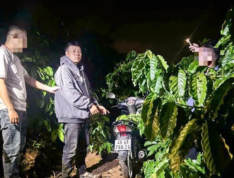 Nghi phạm T. thời điểm bị bắt. Ảnh: PLO.