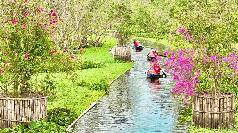 Rừng tràm Trà Sư xanh mướt một màu và mát mẻ quanh năm.