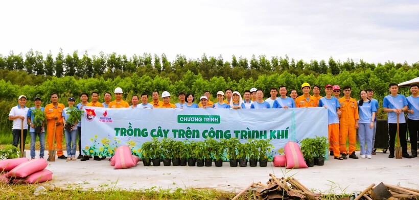 Tập thể CBCNV PV GAS CA MAU tham gia chương trình trồng 500 cây hoàng yến