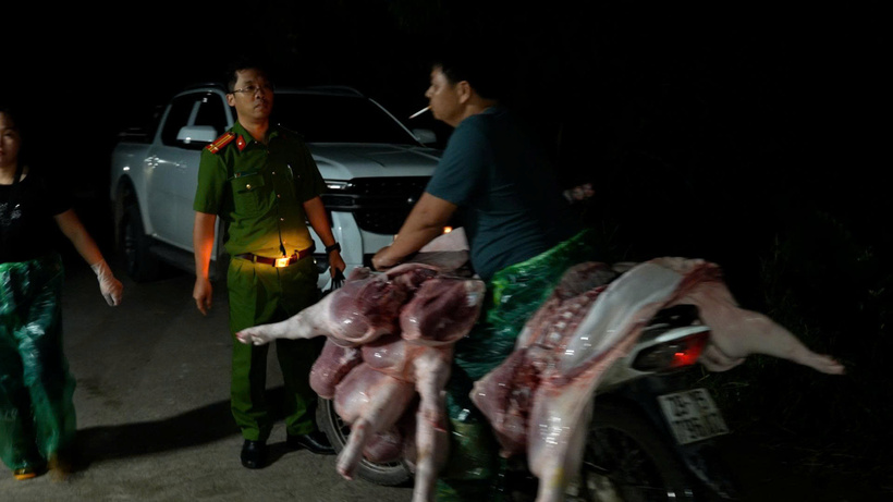 Tại thời điểm kiểm tra, lực lượng chức năng phát hiện, tại cơ sở giết mổ do Lê Văn Tươi và Nguyễn Thị Thư: có 45 con lợn sống có biểu hiện nhiễm bệnh, 1.050kg thịt lợn nguyên con đã giết mổ, 450kg nội tạng. Tổng số hàng hóa vi phạm bị phát hiện, thu giữ là 4.300kg, trị giá là 318.255.700 đồng.