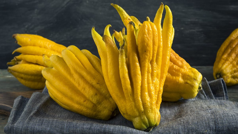 Phật thủ chứa nhiều vitamin C, glycoside, đường và axit hữu cơ, giúp giảm đau.