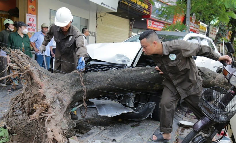 Chiếc ô tô tông đổ cây xanh trên vỉa hè phố Trần Đại Nghĩa. (Ảnh: Dân trí)
