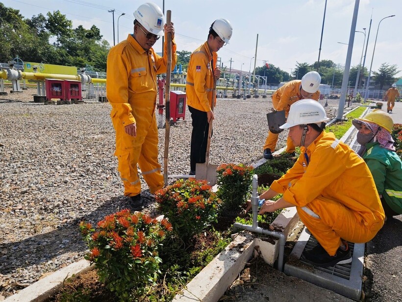 XNVT tích cực trồng và chăm sóc cây xanh, tạo cảnh quan xanh – sạch – đẹp.