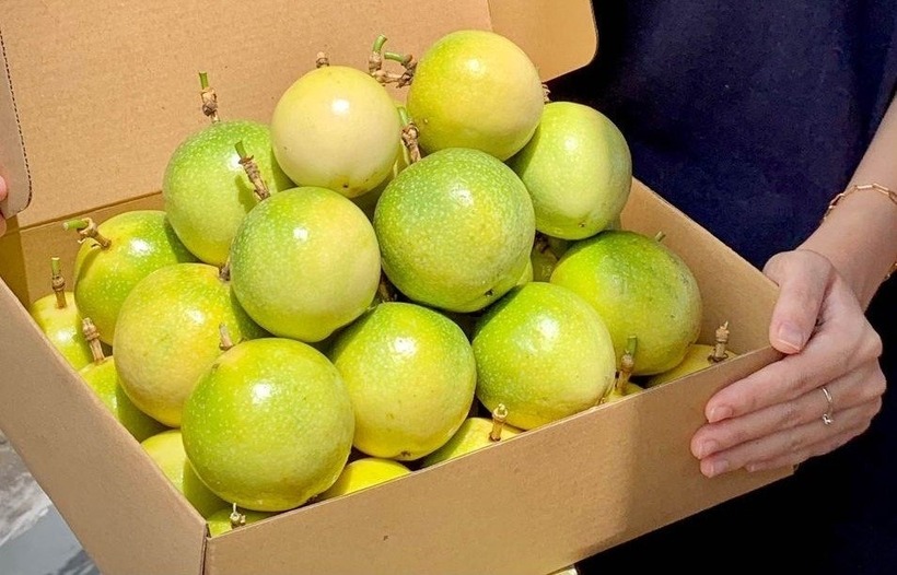 Chanh dây vàng, còn được biết đến với tên gọi chanh leo vàng, là loại trái cây nhiệt đới đang dần được ưa chuộng tại Việt Nam.