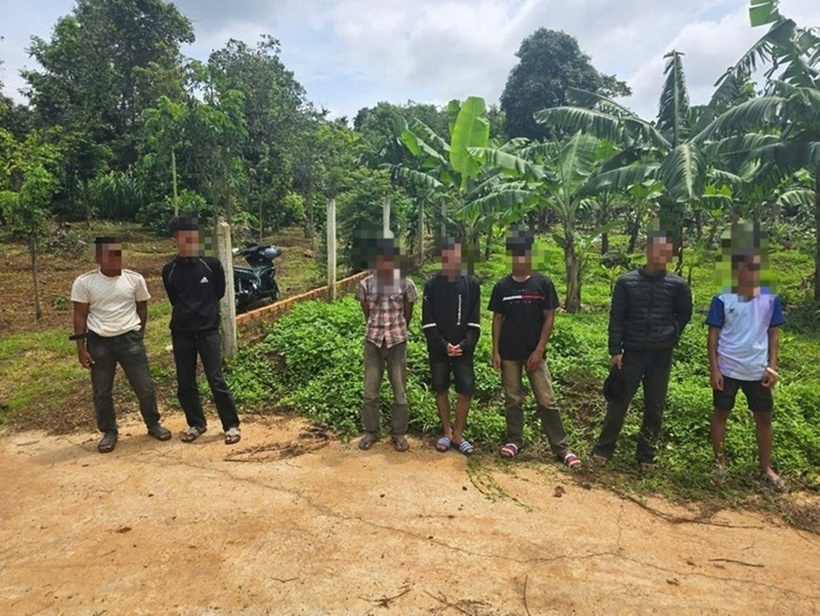 Nhóm thanh, thiếu niên dàn cảnh cướp điện thoại để lấy tiền mua bia ăn nhậu. Ảnh: Báo Người lao động.