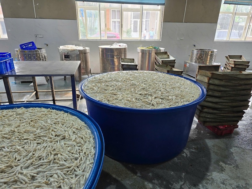 Chân gà ngâm hóa chất tại kho đông lạnh Thanh Bình. (Ảnh: Tiền phong)