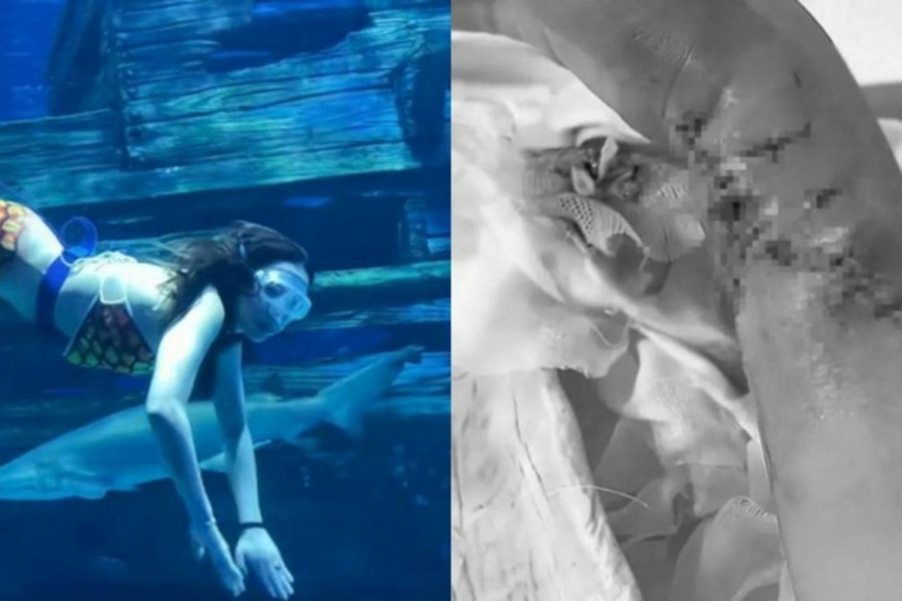 Nhiều "nàng tiên cá" từng gặp nạn nghiêm trọng dưới nước. Ảnh: Sohu.