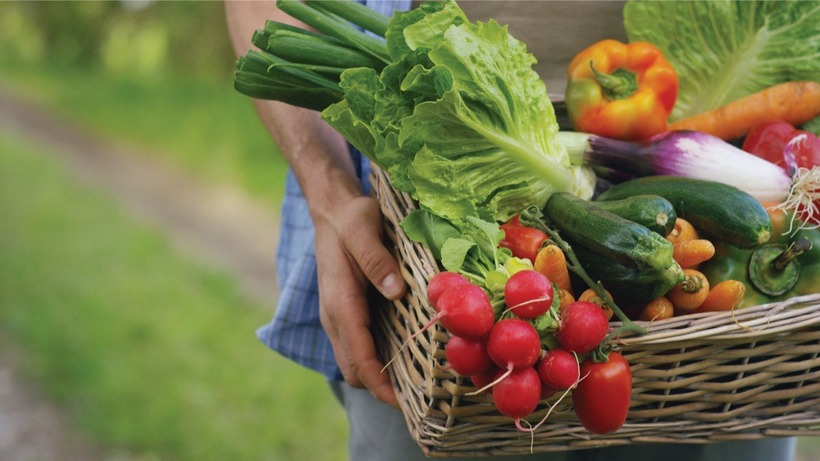 Rau xanh và trái cây cung cấp dồi dào vitamin, khoáng chất, chất chống oxy hóa và chất xơ, giúp bảo vệ tế bào thận.