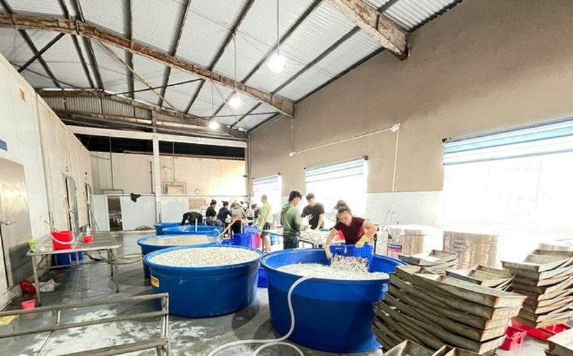 Công nhân dùng hóa chất tẩy trắng chân gà.