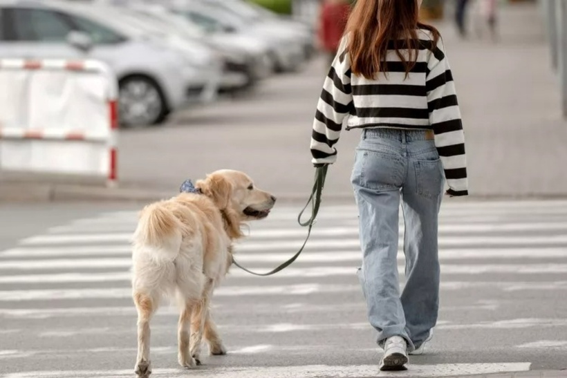 Đi dạo nhanh có thể giúp bạn nhanh chóng cảm thấy dễ chịu hơn. Ảnh minh họa: Getty