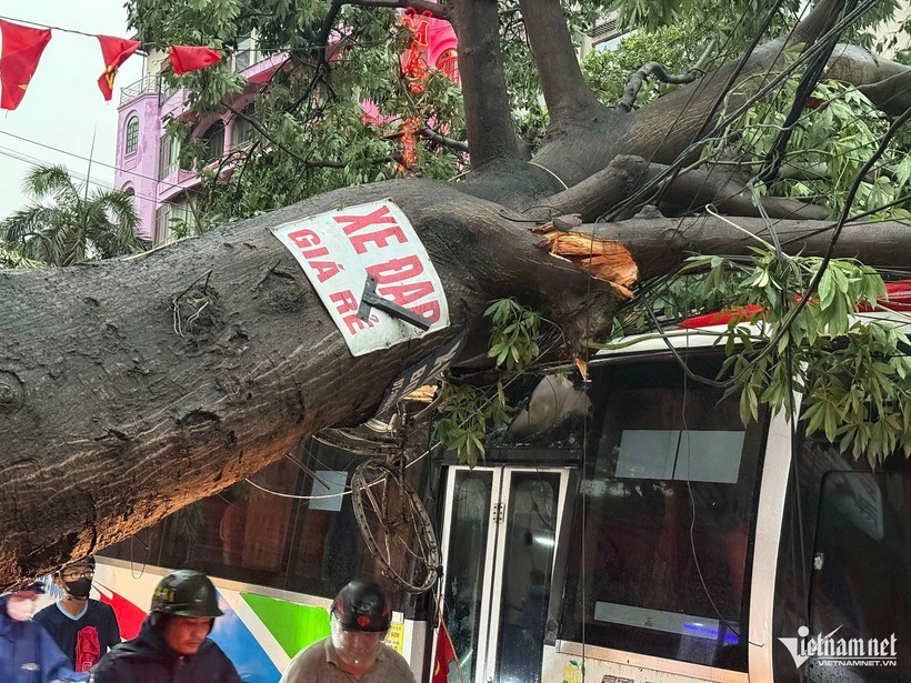 Mưa lớn tại Phú Thọ: Một người chết và nhiều thiệt hại nghiêm trọng 11 Mưa lớn tại Phú Thọ: Một người chết và nhiều thiệt hại nghiêm trọng