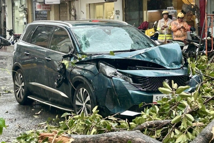 Cây gãy đè trúng ô tô trên đường Trần Quang Diệu (phường Nhiêu Lộc, TP.HCM). Ảnh: Tuổi Trẻ Online