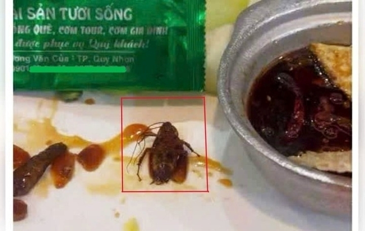 Hình ảnh gián xuất hiện trong tô kho quẹt tại nhà hàng vào đêm 16/7 được lan truyền trên mạng xã hội. Ảnh: VTC News