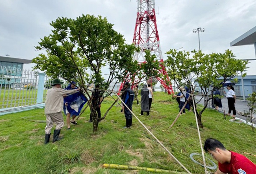 Cán bộ, công nhân viên Đài KSKL Cát Bi chằng néo lại anten, cáp tín hiệu, thiết bị kỹ thuật khuân viên Đài