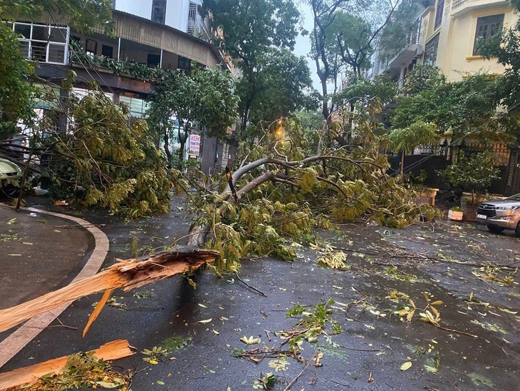 Cây xanh gãy đổ trong khu đô thị Định Công, Hà Nội trong cơn dông lốc xảy ra vào chiều 19/7. (Ảnh: Tuổi trẻ)