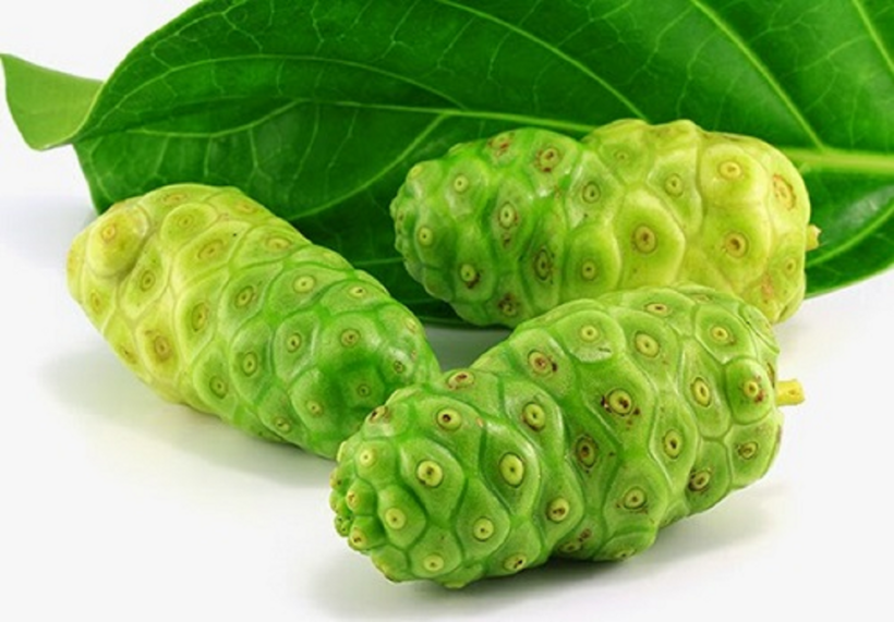 Cao Nhàu được sử dụng trong nhiều bài thuốc cải thiện ngứa da