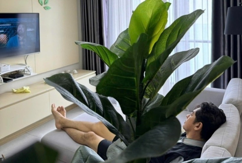 Nam diễn viên được người thân đưa về căn hộ chung cư ở TP.HCM để tiện chăm sóc sức khỏe. Ảnh: Ngôi Sao