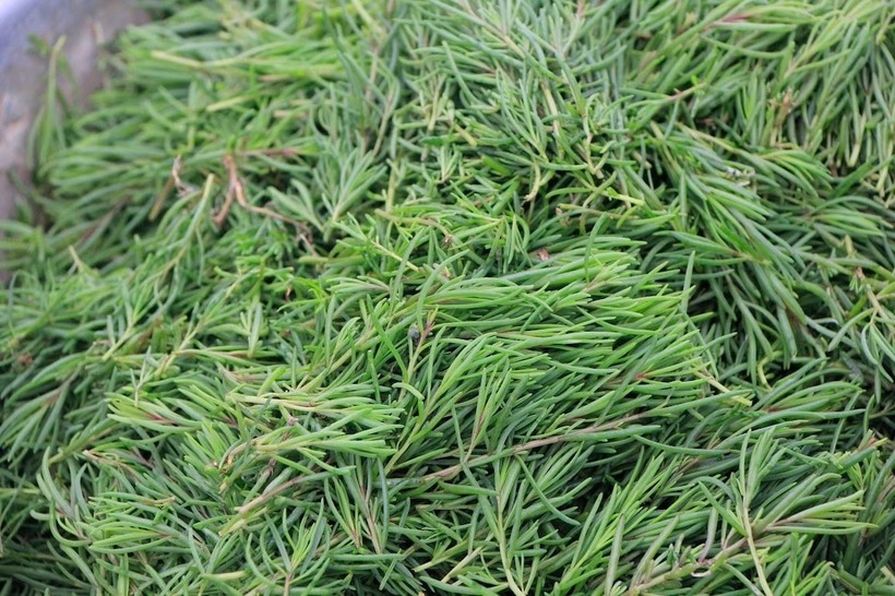 Loại rau được ví là "lộc trời" có nhiều ở Nghệ An, giúp thanh lọc cơ thể, mát gan - 1