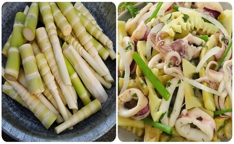 Ăn măng tươi có độc không là vấn đề được nhiều người quan tâm.