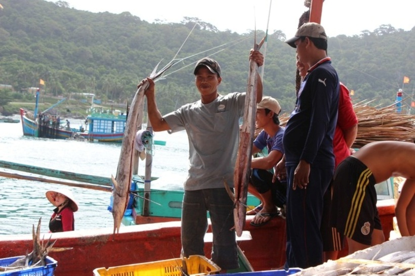 Ngay dưới cầu cảng cá, đàn cá tung tăng bơi lội trong làn nước biển trong xanh, sạch sẽ. Đường sá nơi đây khang trang, sạch sẽ; hoạt động sinh hoạt của người dân diễn ra tấp nập với đầy đủ tiện nghi như điện, đường, trường, trạm... và cả sóng 4G phủ khắp.