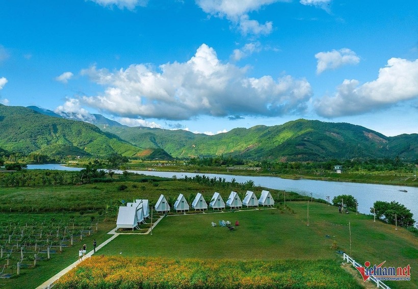 Vườn nho nằm cạnh dòng sông Cu Đê. Ảnh: VietNamnet