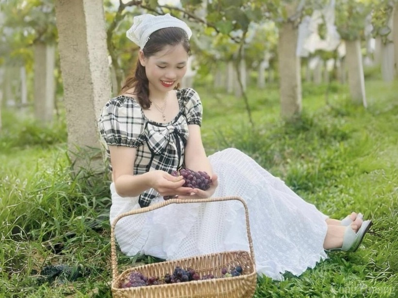 Vườn nho thu hút nhiều lượt khách tham quan, nhất là các bạn trẻ đến check-in, chụp ảnh. Ảnh: Báo Công thương