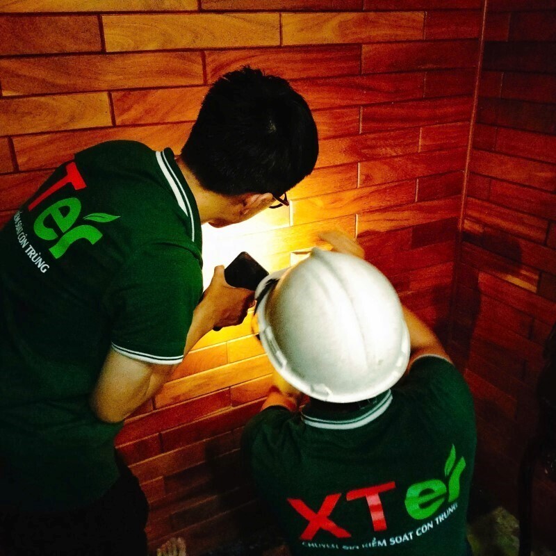 XTER BIOZ –Giải pháp diệt mối sinh học an toàn cho mọi nhà - 3