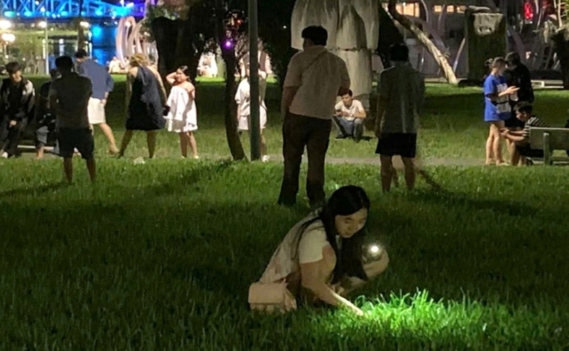 Người dân soi đèn tìm kiếm chiếc nhẫn giúp du khách. (Ảnh: VietnamNet)