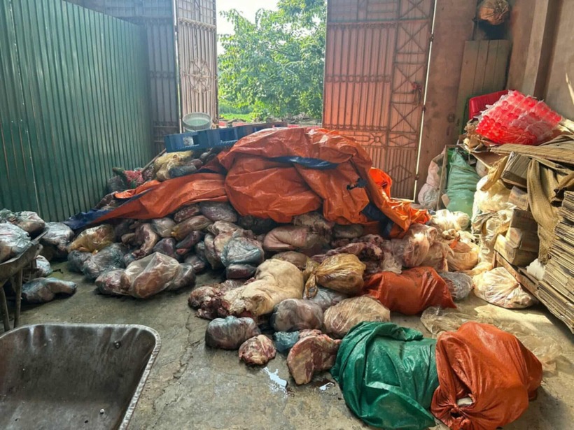 Tại thời điểm kiểm tra, lực lượng chức năng đã phát hiện 2,7 tấn thịt lợn chưa qua sơ chế, được phủ bạt, đã ngả màu và bốc mùi hôi thối. Ảnh: Tiền Phong