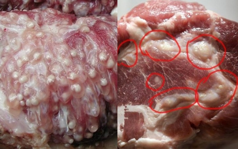 Khi phát hiện các miếng thịt có chứa hạch bạch huyết, mọi người tốt nhất không nên mua về ăn. Ảnh minh họa