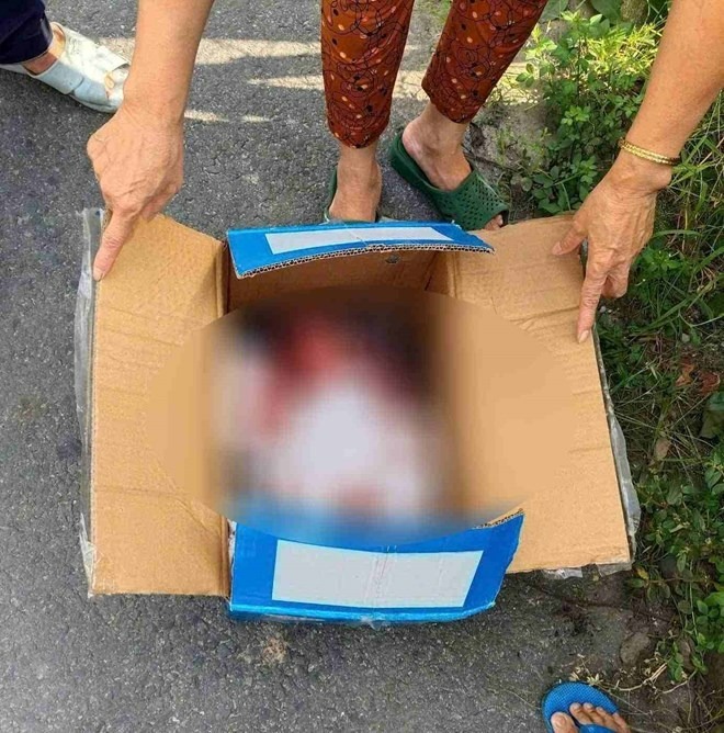 Trẻ sơ sinh bị bỏ rơi trong thùng giấy để bên đường. (Ảnh: Lao động)