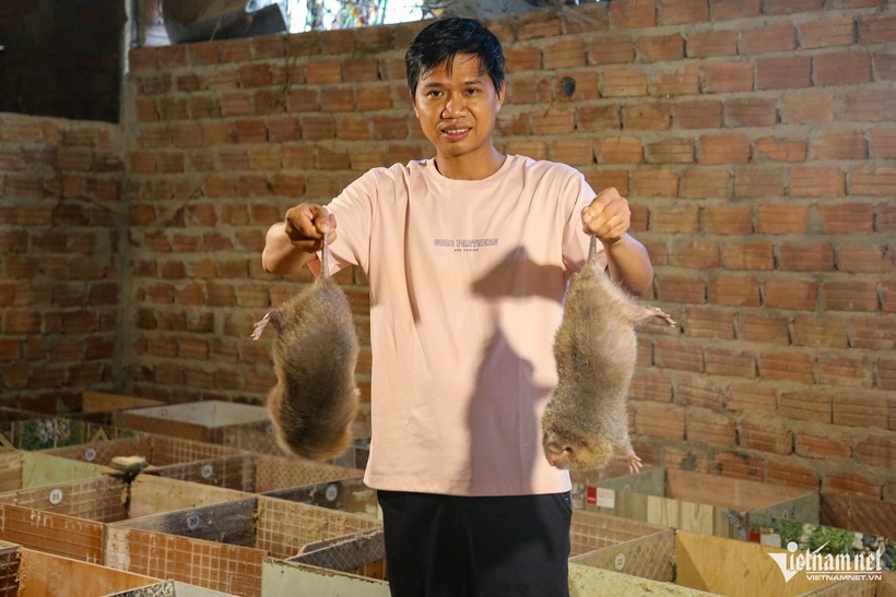 Mỗi ngày, anh Lương chỉ cần cho dúi ăn một lần vào chiều tối. Ảnh: VietNamnet