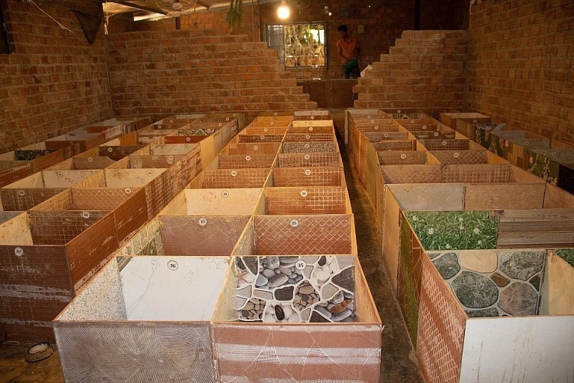 Trang trại được anh Lương đánh số thứ tự để theo dõi dúi phối giống. Ảnh: Thương hiệu & Sản phẩm