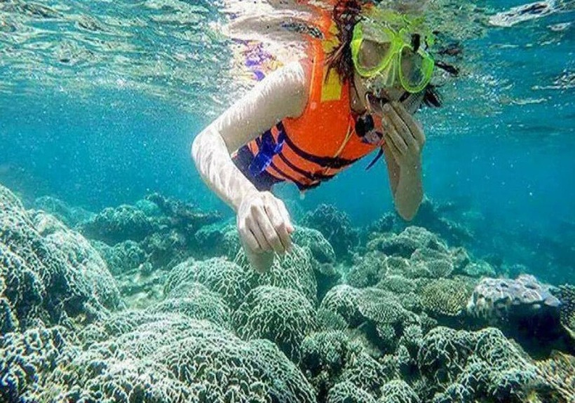 Hòn Chùa nổi tiếng sở hữu đa dạng các loài san hô. Ảnh minh họa.