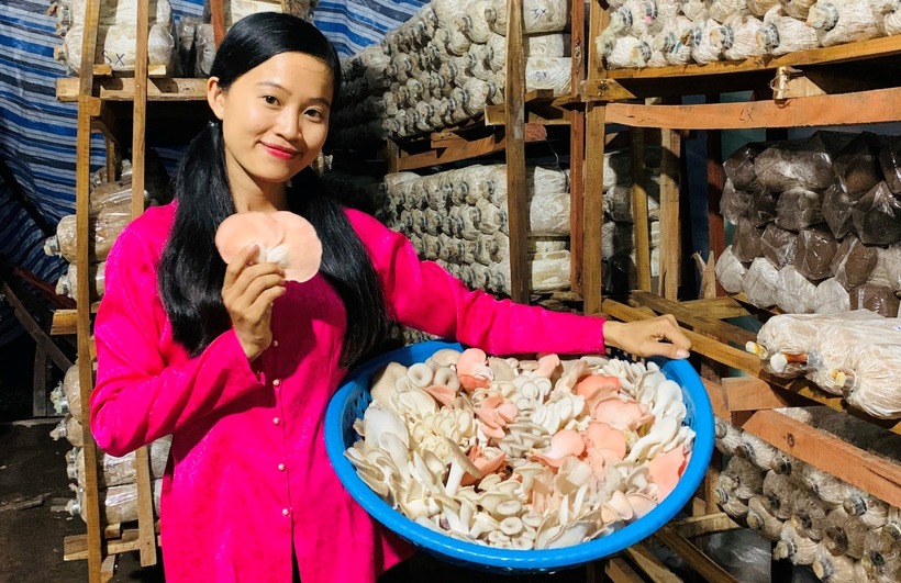 Cô gái trẻ từ bỏ công việc đúng chuyên ngành để về Cà Mau trồng nấm.