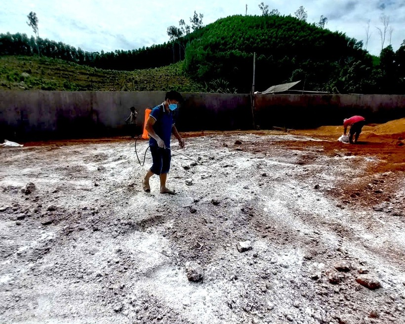 Hơn 100 tấn thịt heo đã được tiêu huỷ. (Ảnh: Tiền phong)