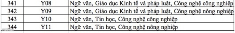 Danh sách 344 tổ hợp môn xét tuyển đại học, cao đẳng năm 2025. Ảnh: Thanh Niên
