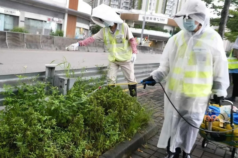 Nhân viên y tế Trung Quốc phun thuốc diệt muỗi ở những bụi rậm, đường phố. Ảnh: China Daily.