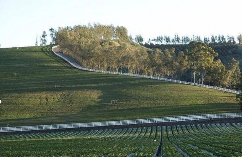 Nông trại đã thay đổi cuộc sống của người lao động ở vùng quê của Thạch Yên. Ảnh: Sohu