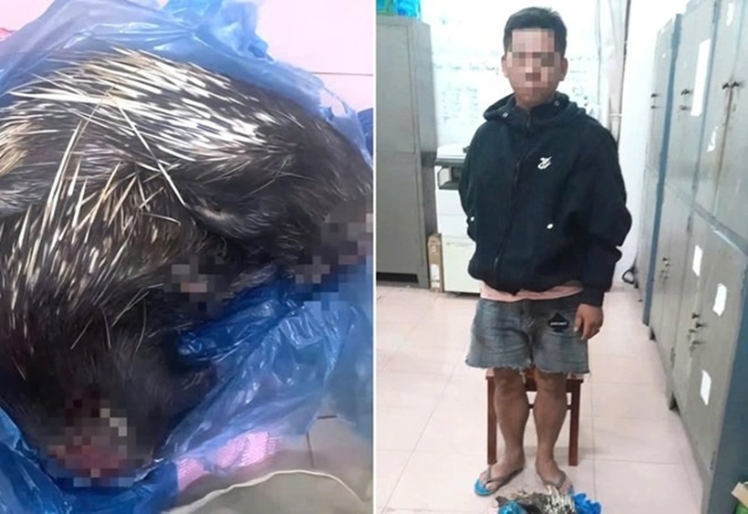 Phát hiện đối tượng T.H.L (27 tuổi, ngụ xã Phú Lý) có hành vi vận chuyển trái phép động vật hoang dã. Ảnh: Lao động