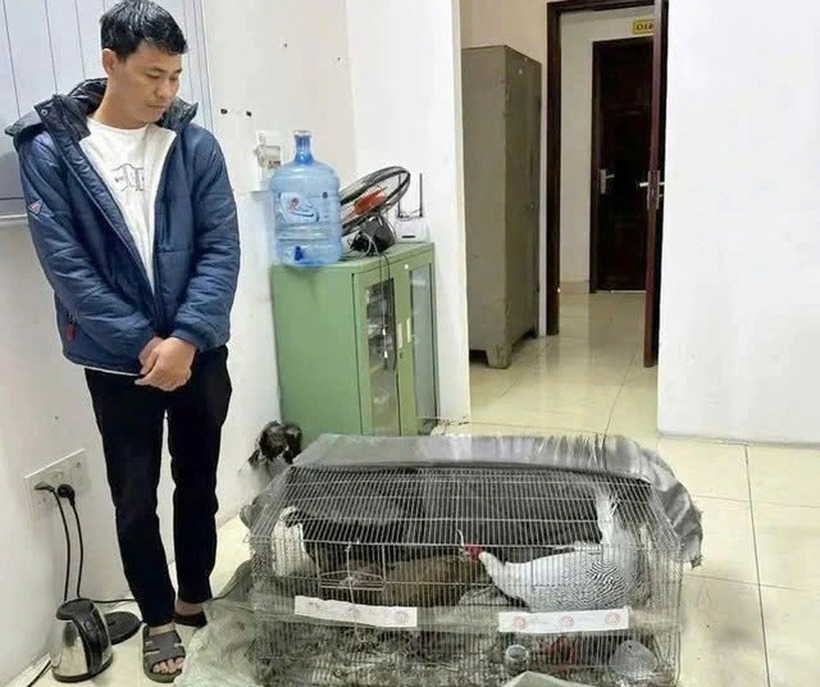 Thái Khắc Thành cùng số gà lôi tang vật vụ án. Ảnh: Dân Việt