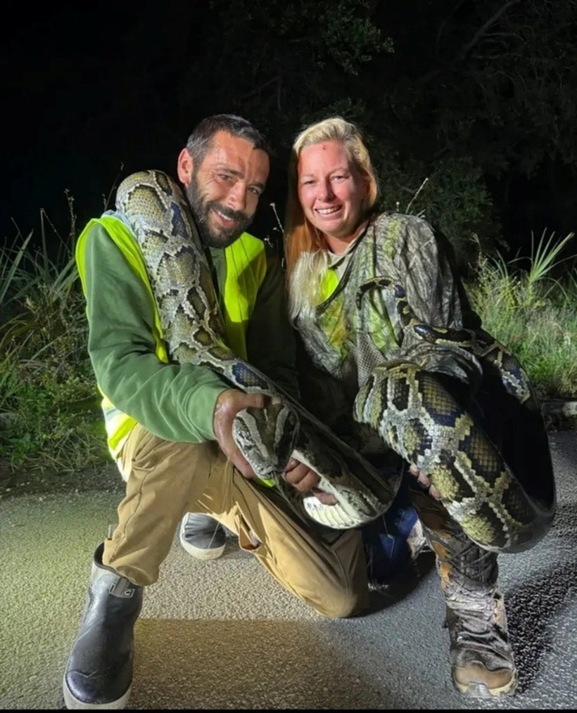 Aaron Mann đã giành được giải thưởng vì bắt được nhiều trăn Miến Điện nhất ở tiểu bang Florida vào tháng 7. Ảnh: SFWMD