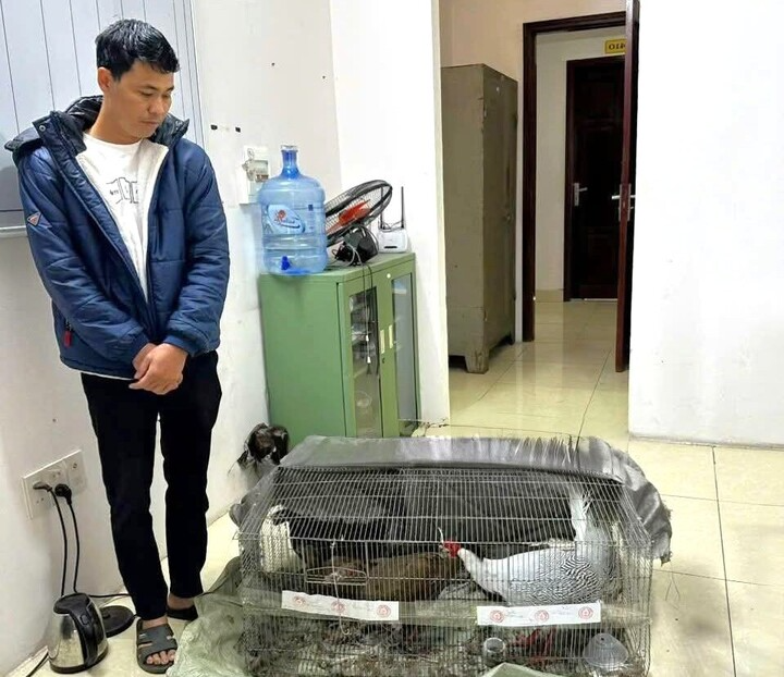 Thời điểm ông Thái Khắc Thành vị bắt cùng tang vật. Ảnh: VTC News.