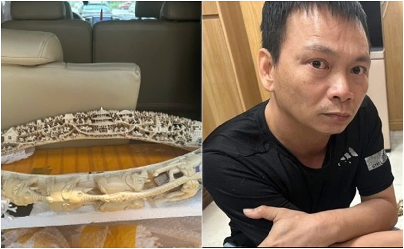 Tang vật và đối tượng mua bán ngà voi trái phép bị công an phường bắt giữ. (Ảnh: Ciw quan công an)